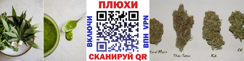 где купить наркотик  Пласт  Печенье с ТГК конопля 