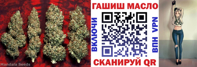 это наркотические препараты  Пласт  ТГК концентрат 