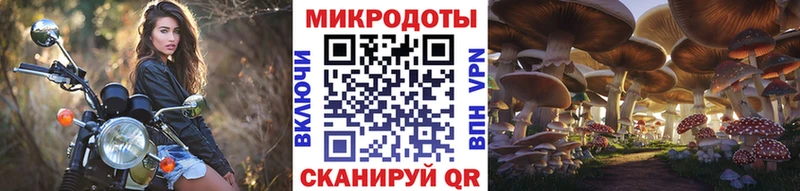 mega вход  Пласт  Галлюциногенные грибы GOLDEN TEACHER 